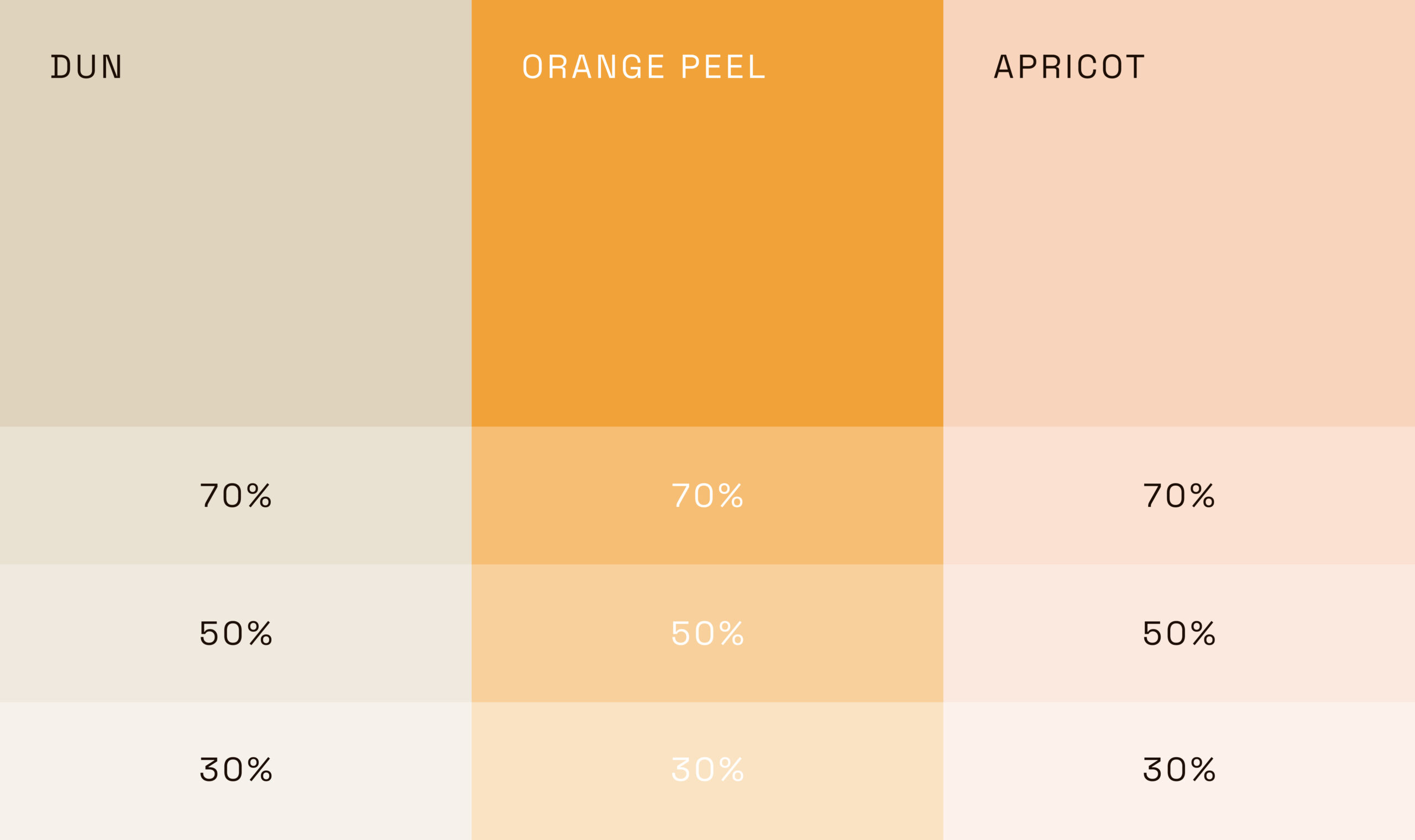 Palette_02-scaled Alessandro Rossetti